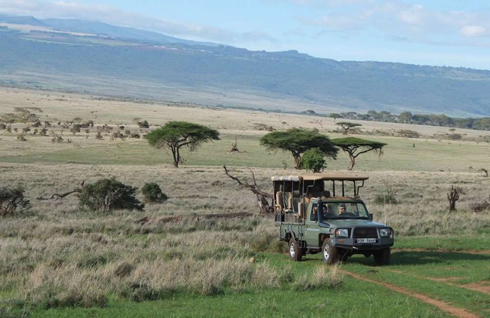 africa-safari-adventure Africa Safari Adventure