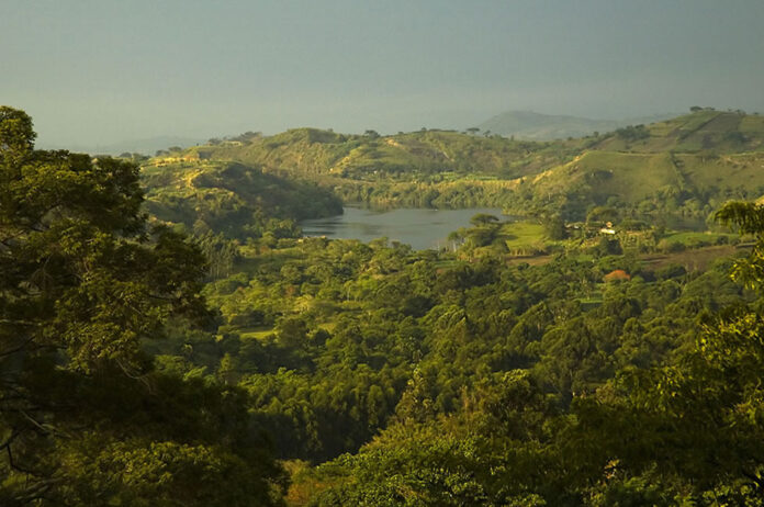 kibale Kibale Forest National Park