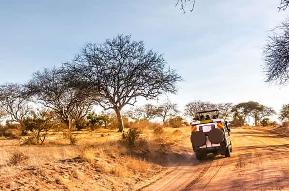 The Ultimate Guide to Driving in East African Parks