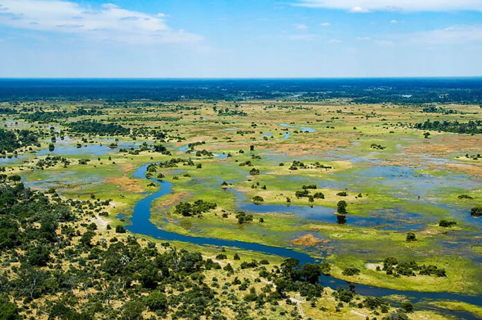 okavango-delta Okavango Delta