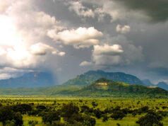 Best 12 Uganda Wilderness Parks for Self-Drive Pian Upe Wildlife Reserve