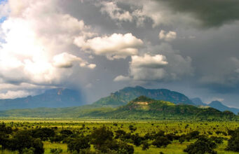 Best 12 Uganda Wilderness Parks for Self-Drive Pian Upe Wildlife Reserve
